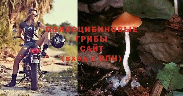 mdpv Бикин
