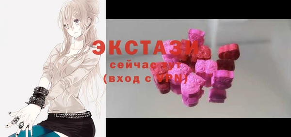 индика Билибино