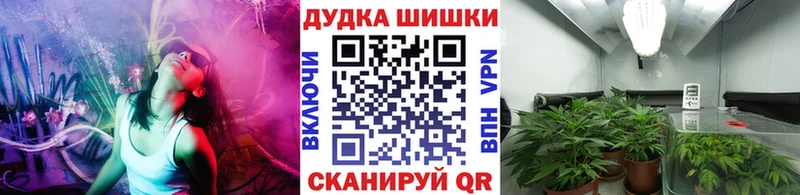 Шишки марихуана марихуана  Купить закладки  Венёв 